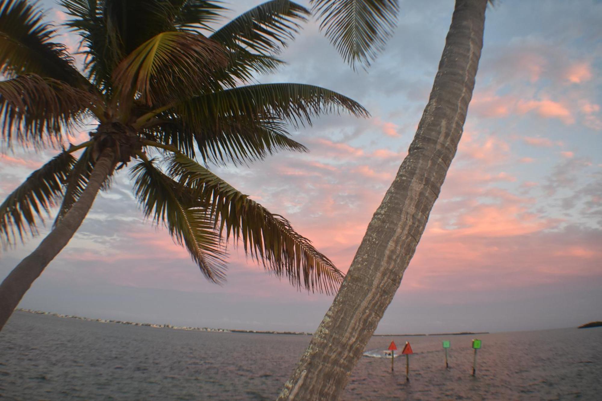 Pelican'S Roost, Waterfront Comfort At Venture Out Cudjoe Key Luaran gambar